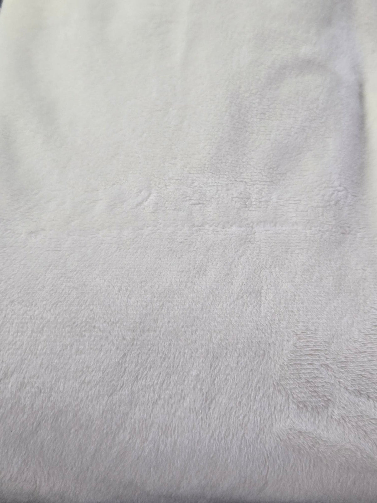 Shannon Fabrics - Cuddle- Ivory - 1/2m Cut