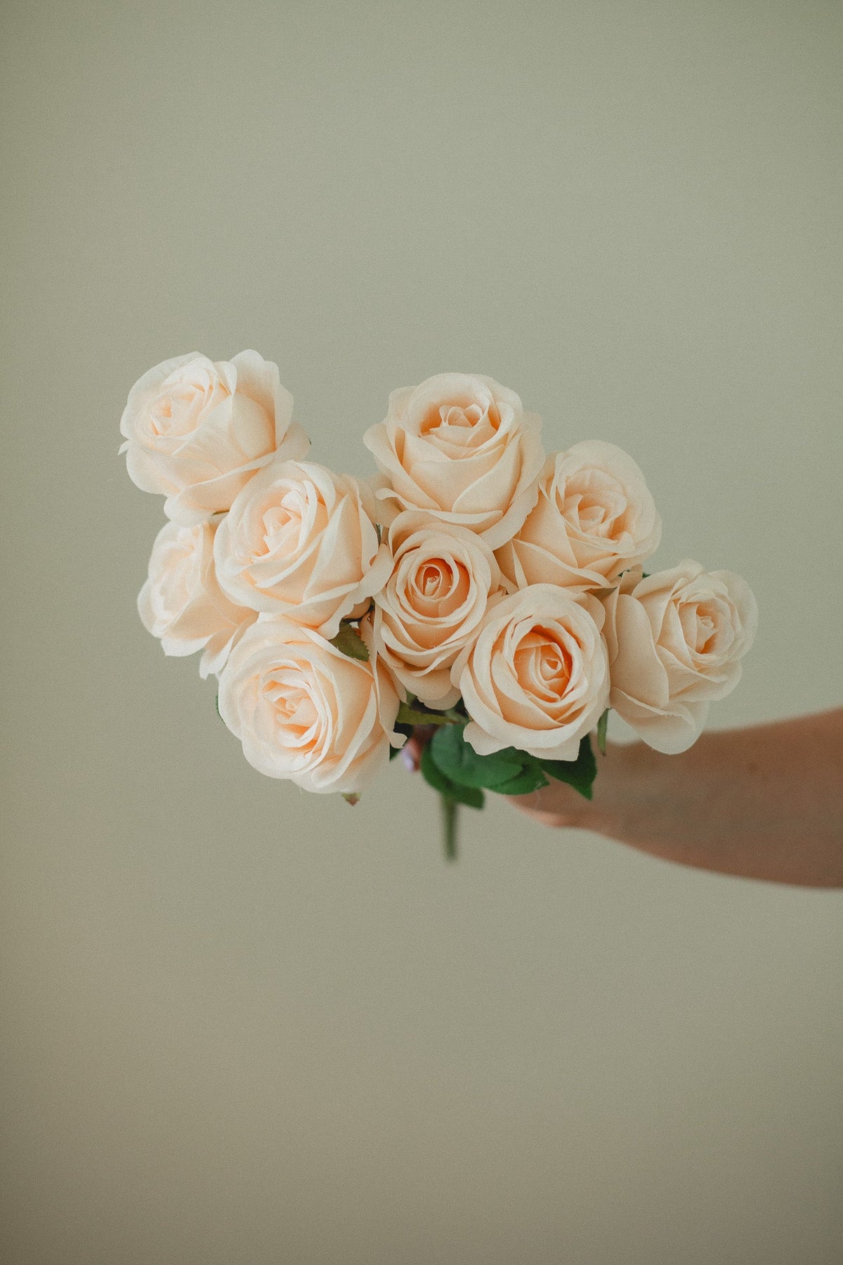 Bouquet de roses fraîches