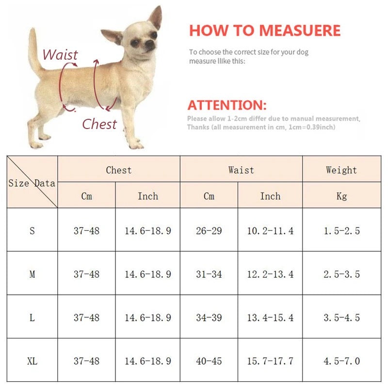 Rosie Swimsuit