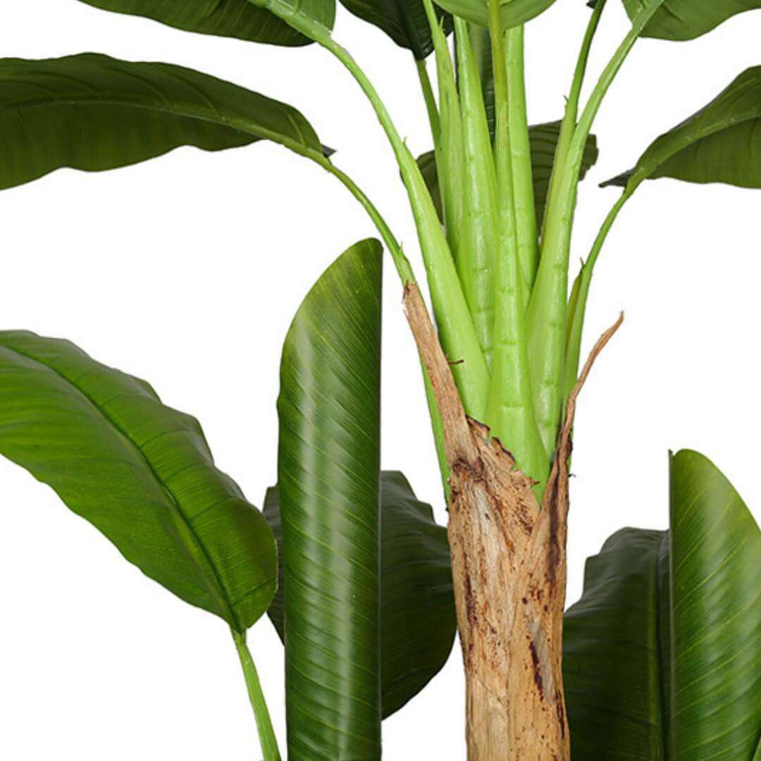 Anna Arbre à Bananier Artificiel en Pot (Plusieurs Tailles)