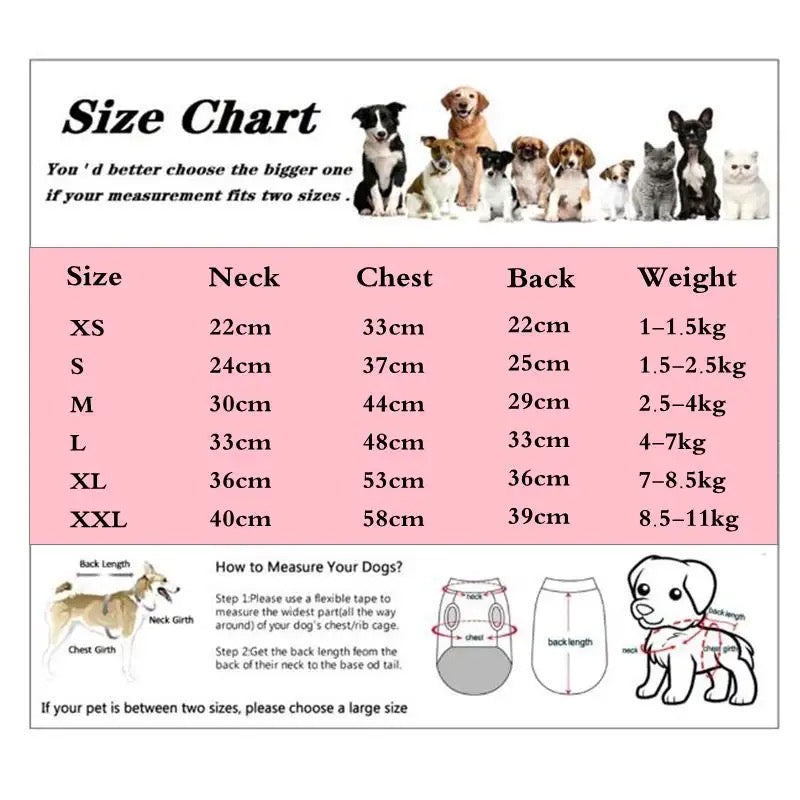 Dog Jacket | Heart Accent Dog Coat