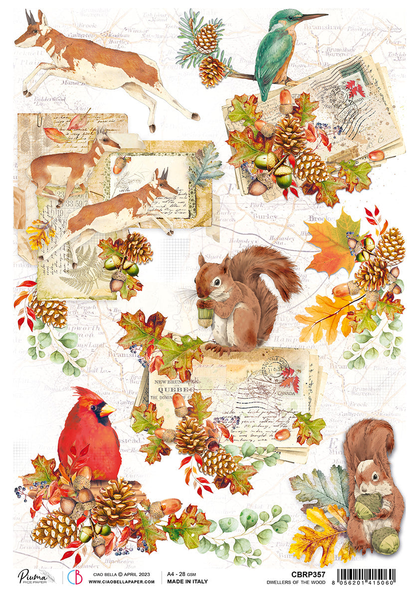 Ciao Bella Papier de Riz A4 Piuma Dwellers Of The Wood - 5 Feuilles