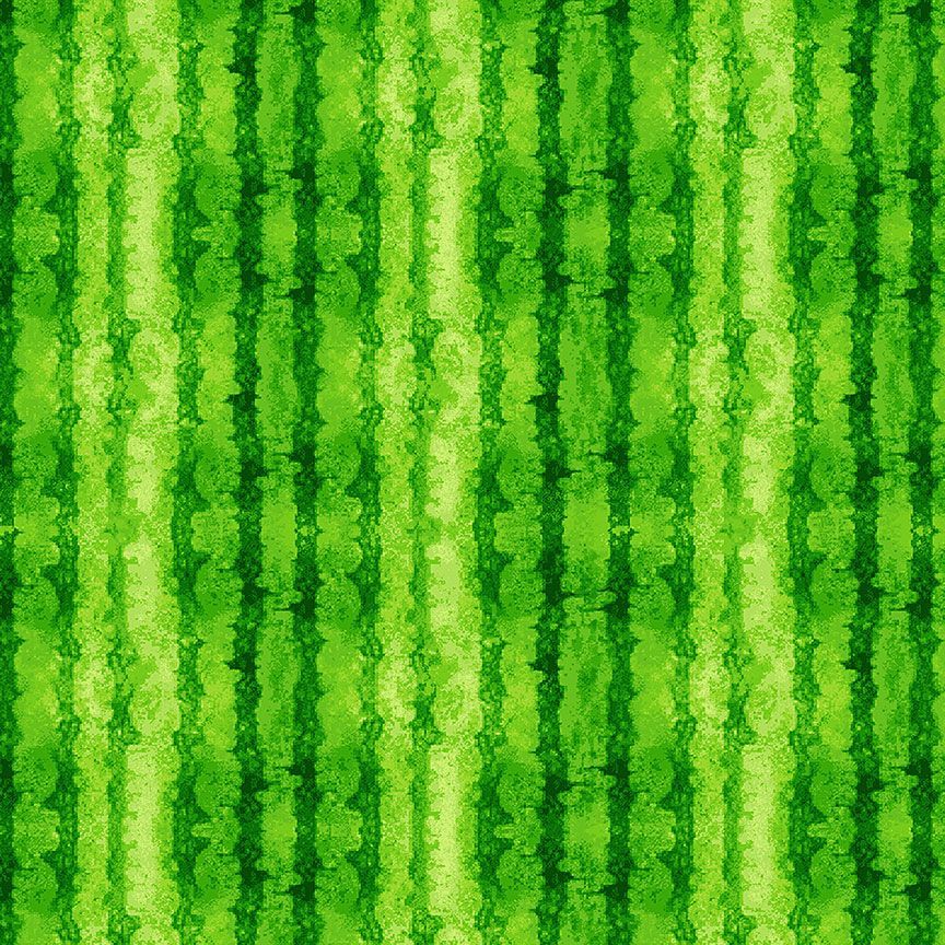 Texture Rayée Pastèque- FRUIT-CD-1926