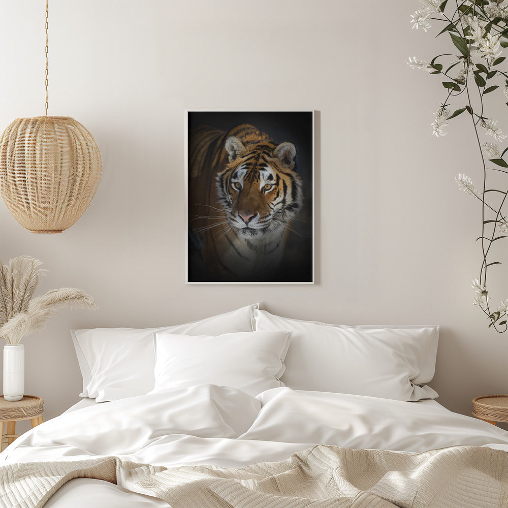 Siberian Tiger Close-Up Portrait Canvas Wall Art