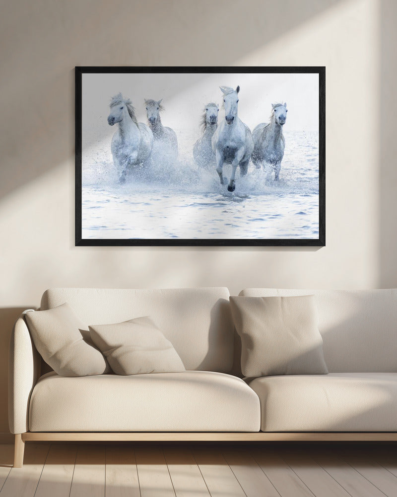 White Horses Running Through Water Canvas Wall Art | Horses on the Run
