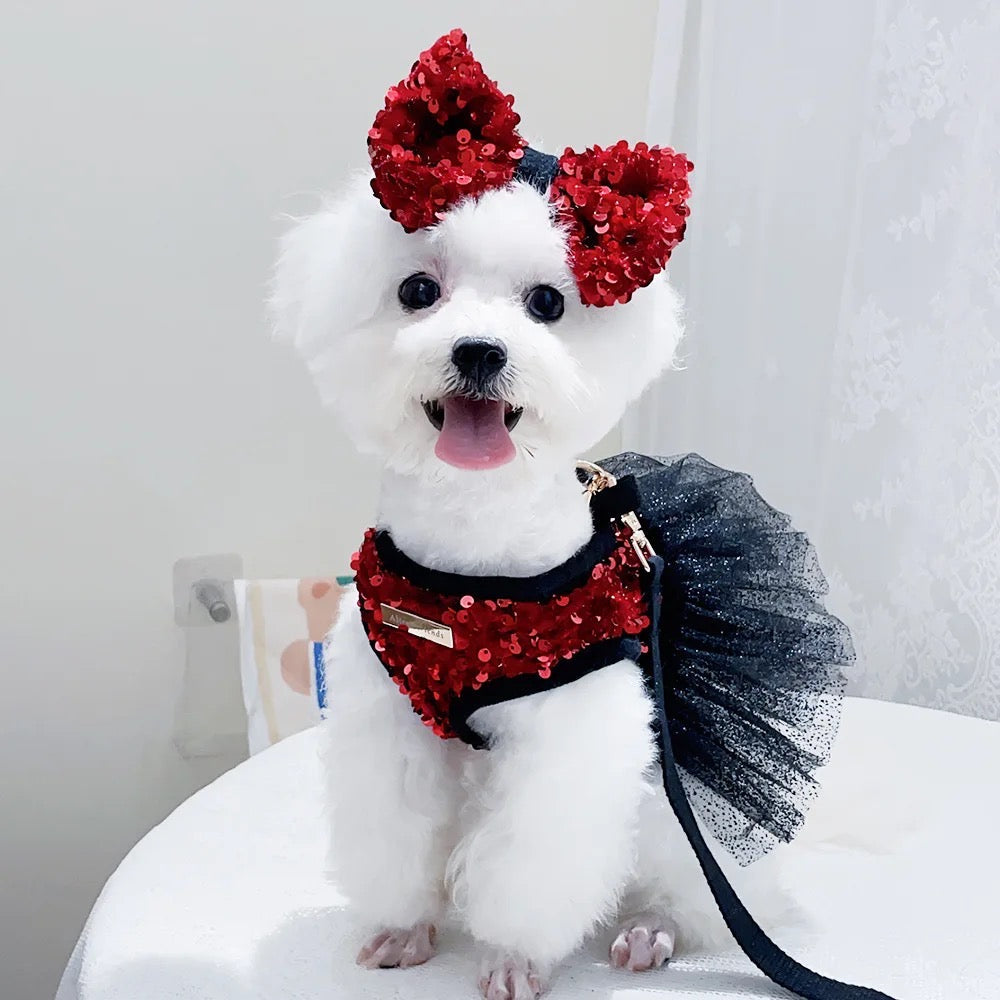 Ensemble robe Giselle Noir pour chien | Robe de cérémonie avec nœud assorti