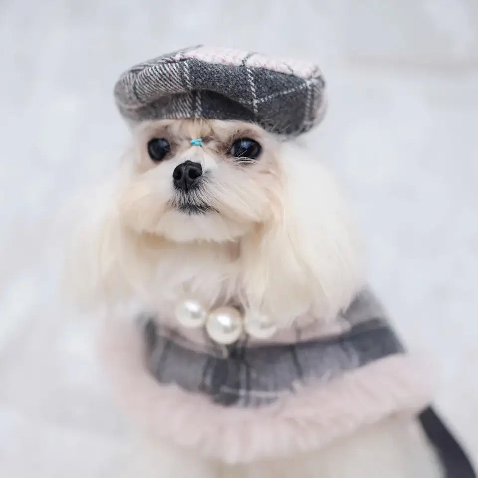 Peaky Street Tweed Dog Harness Set | Harness Hat and Leash Outfit
