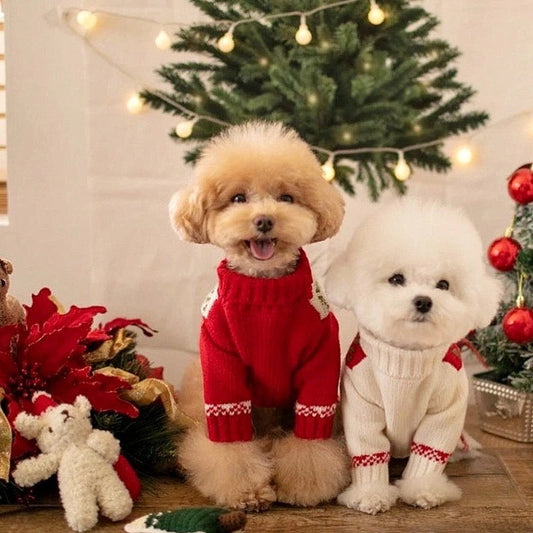 Pull de Noël pour chien « Santa Baby » | Pull tricoté de Noël pour chien