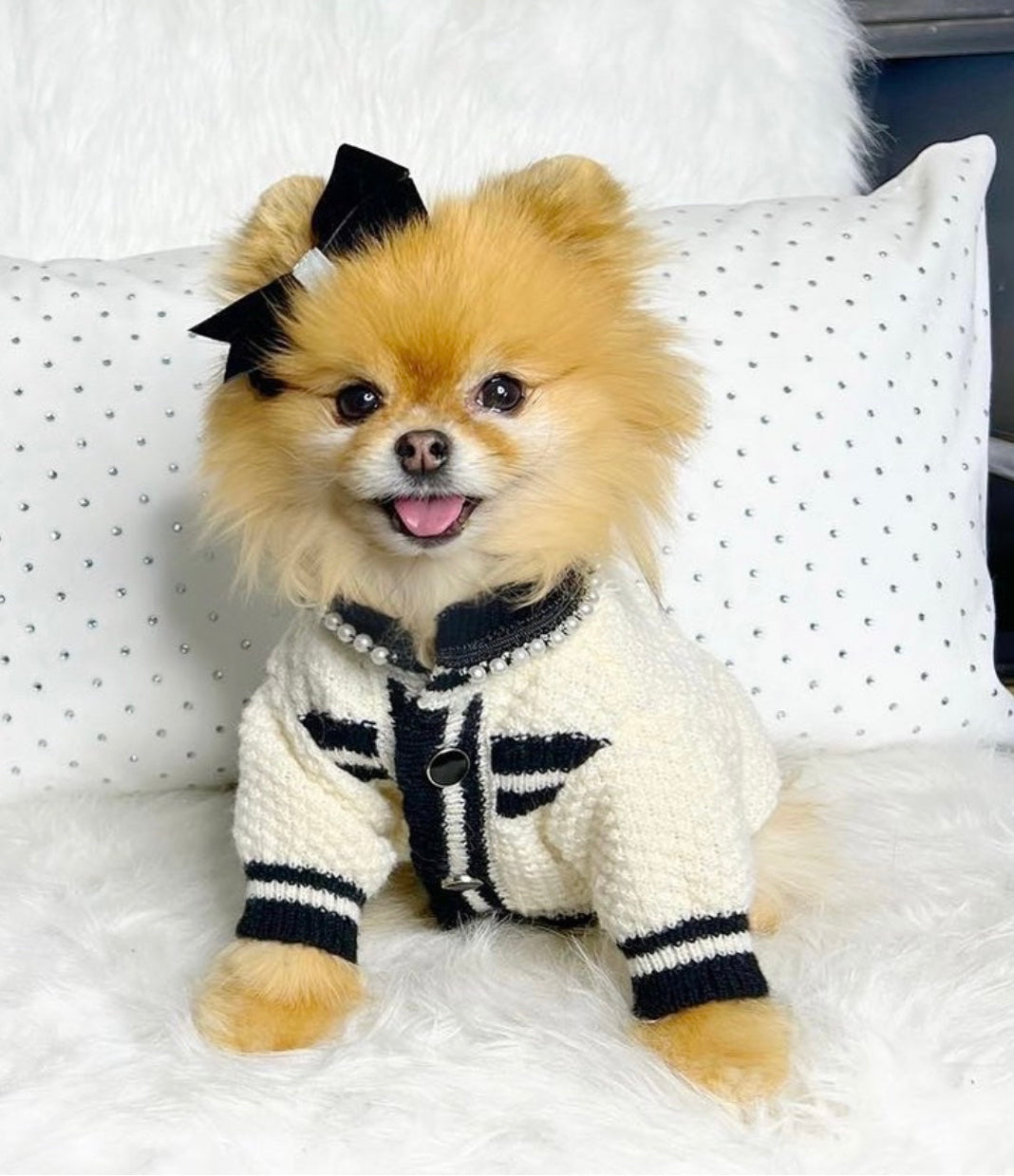 Coco Button Dog Sweater – Classic Knit Outfit for Dogs