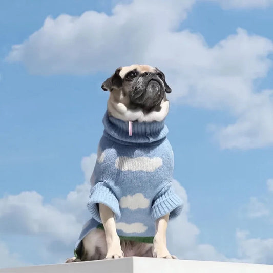 Dog Sweater | Head in the Clouds Knit