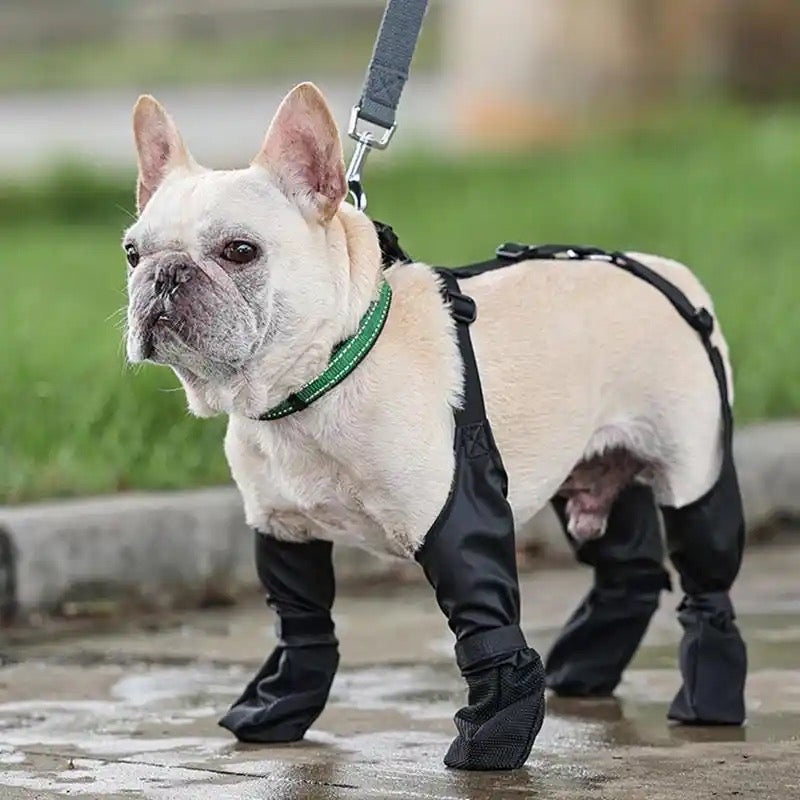 Bottes pour chien à bretelles | Bottes mode pour chien avec bretelles
