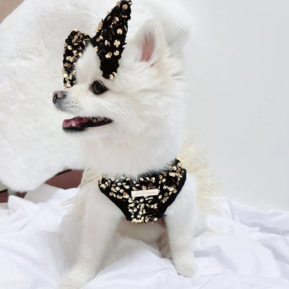 Twinkle Star Dog Dress Set | Party Dress with Matching Bow