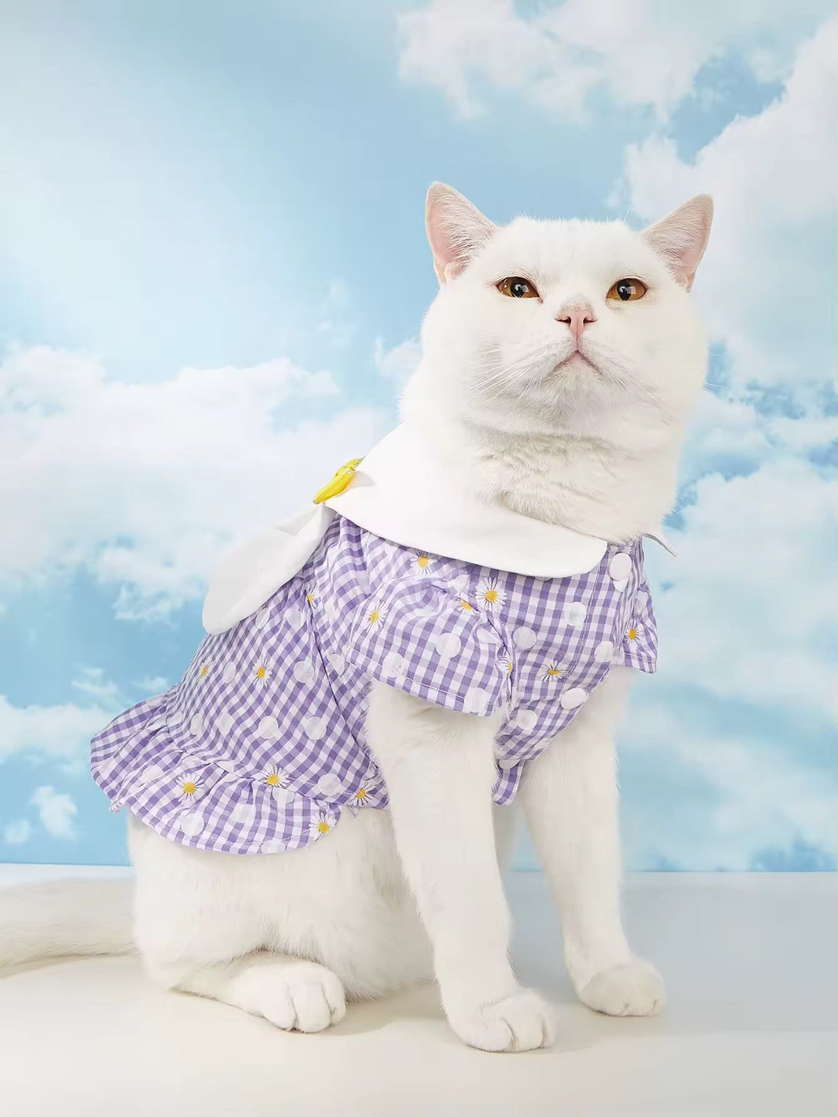 Lavender Easter Bunny Dress – Easter Pet Dress