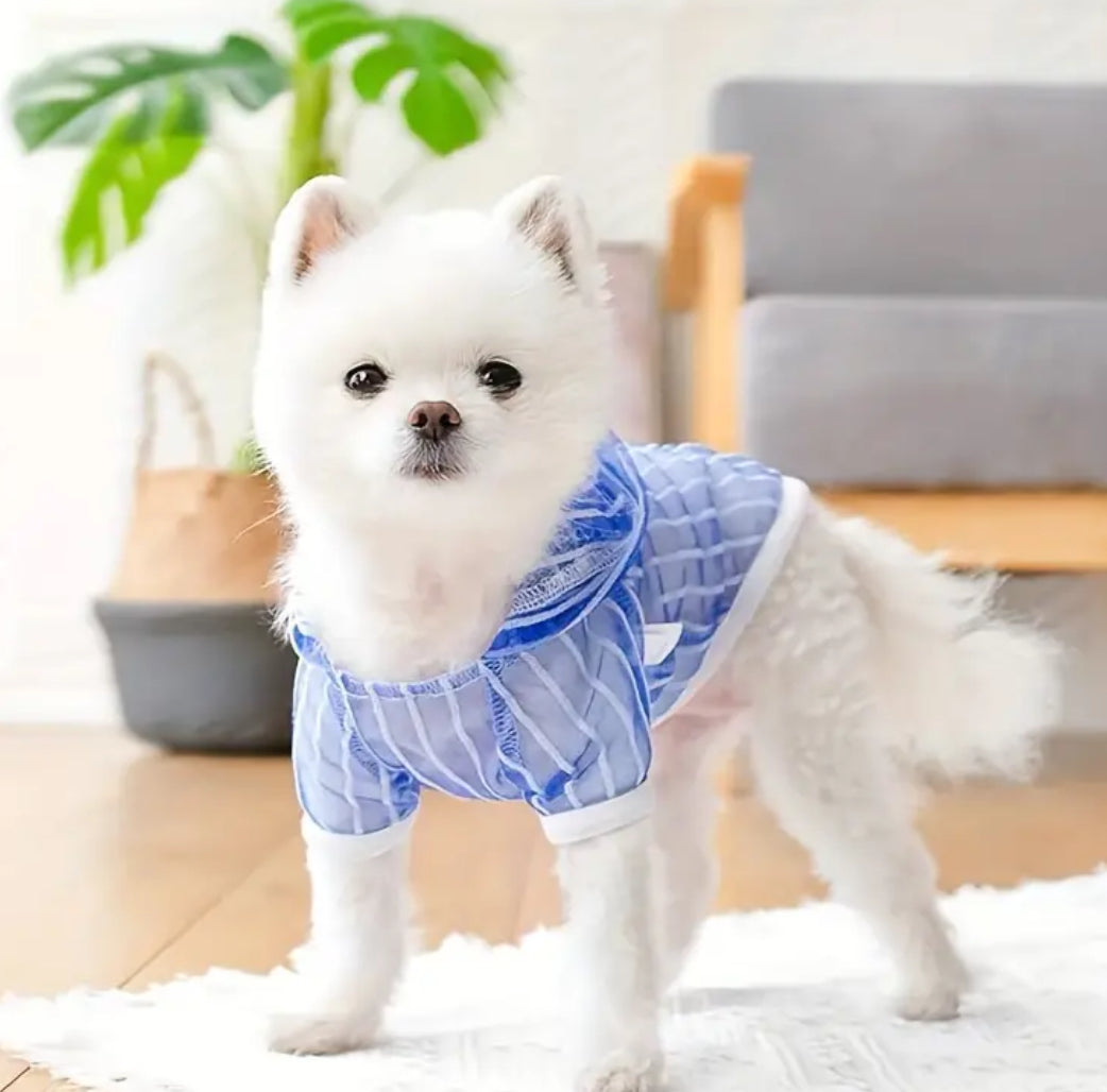 Jeremiah Dog T-Shirt | Sheer Detail Dog Shirt