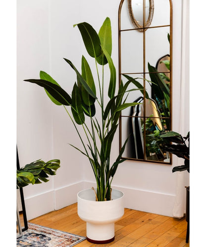 Canna artificielle en pot (plusieurs tailles)