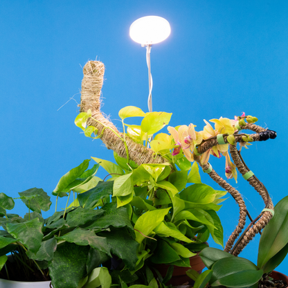 28" Adjustable LED Plant Light