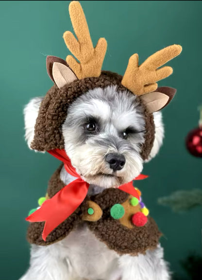 Ensemble de cape de Noël renne – Tenue de luxe des Fêtes pour chiens