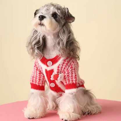 Pull douillet en maille Rosalinda pour chien | Pull chaud pour chien au quotidien