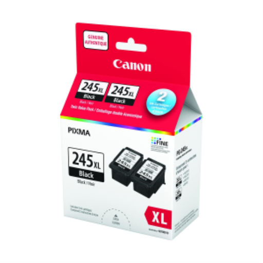 Lot de 2 cartouches d'encre PG-245XL