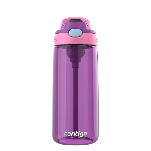 Contigo 20 oz Autospout Grape - Plastic