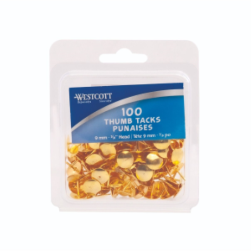 Brass Thumb Tacks 100/Clamshell / 
Punaises laitonnées, 100 par coquille