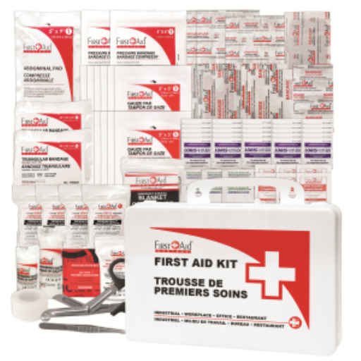CSA Type 2 Basic Small First Aid Kit in a Plastic Case