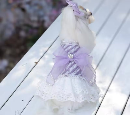 Lavender Dream Dress – Luxury Dog Dress