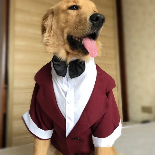 Costume Oscar