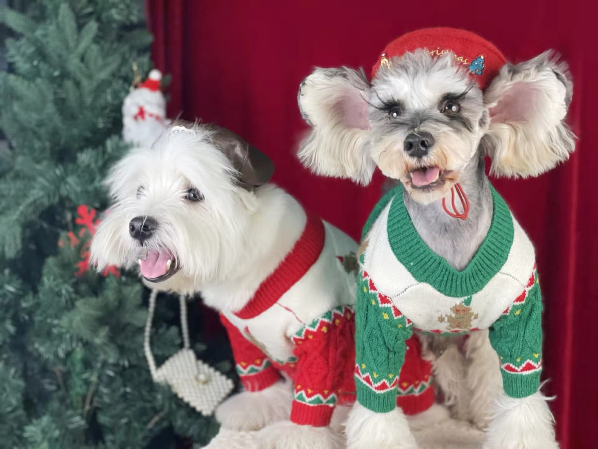 Pull de Noël pour chien en pain d'épices – Tenue tricotée d'hiver pour chiens