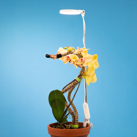 ***PRÉCOMMANDE – Lumière de croissance DEL ajustable 28 po – Expédiée d'ici 4 à 8 semaines***