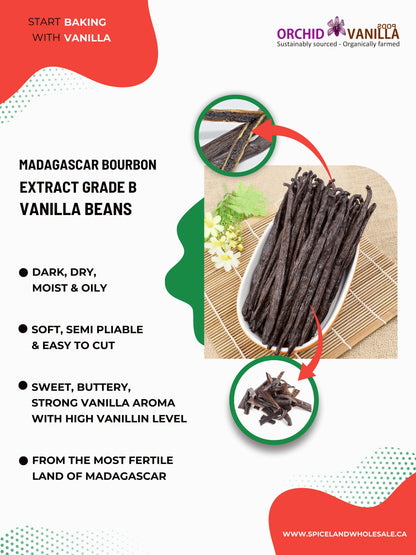 Madagascar Bourbon Extract Vanilla Beans Grade-B <br>For Extract Making<BR>By Count