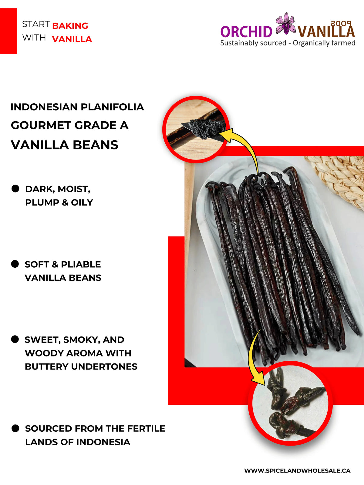 Indonesian Vanilla (Sumatra) Planifolia Gourmet Grade-A Beans<br>For Extract And Baking<BR>By Count