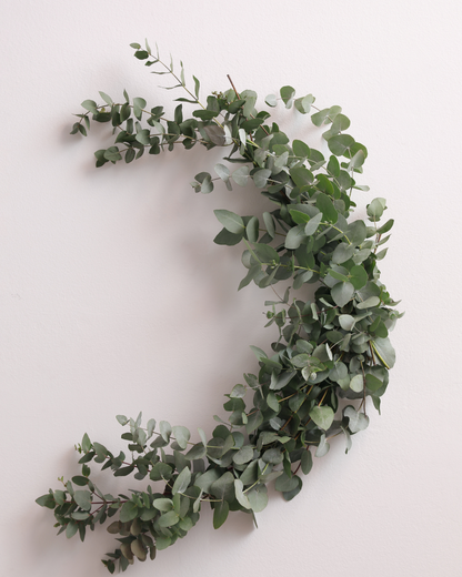 Chemin de table guirlande fraîche - Eucalyptus, Gypsophile, Ruscus