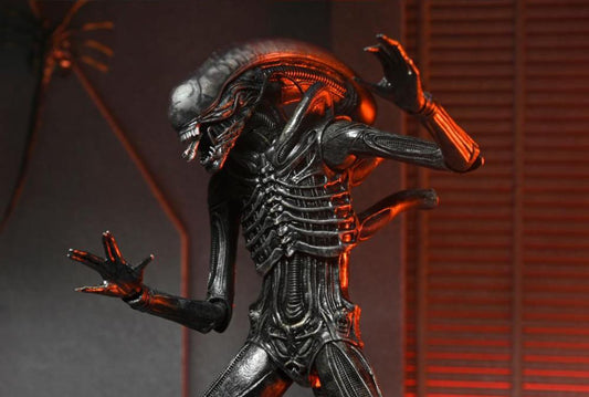 Alien: Romulus Xénomorphe ultime XX121