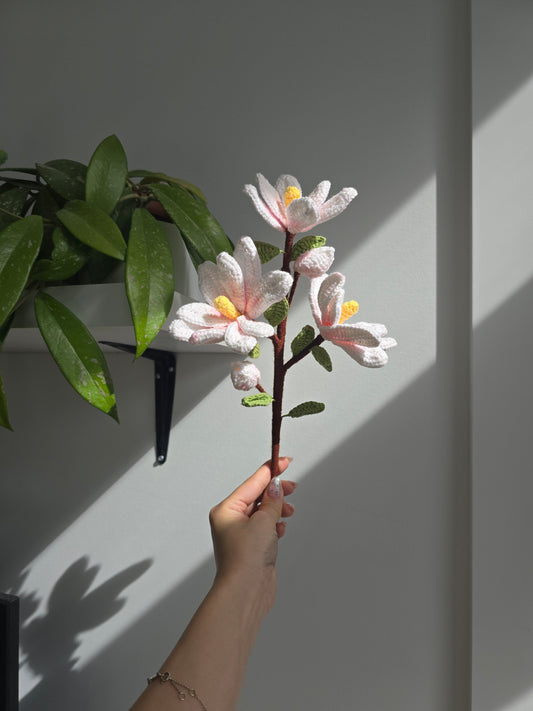 Branche de magnolia
