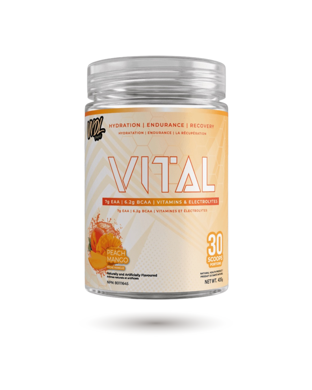 VNDL Project Vital - Endurance, Récupération et Hydratation
