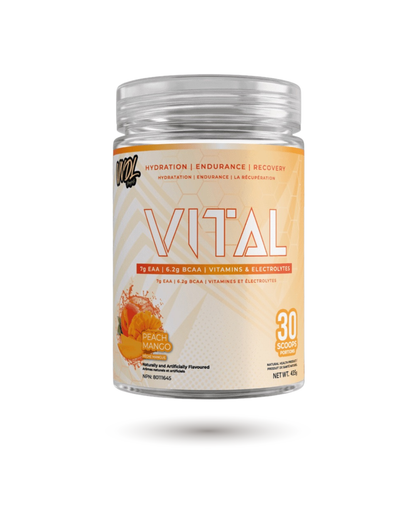VNDL Project Vital - Endurance, Récupération et Hydratation