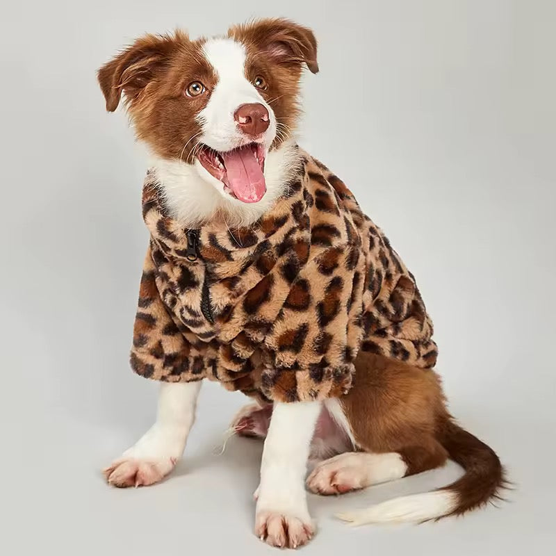 Leopard Lover Dog Coat – Luxury Statement Outerwear for Dogs