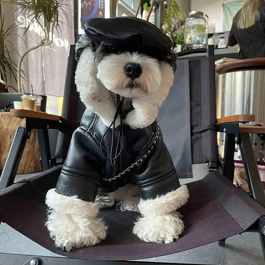Leather Dog Jacket | Classic Dog Biker Jacket