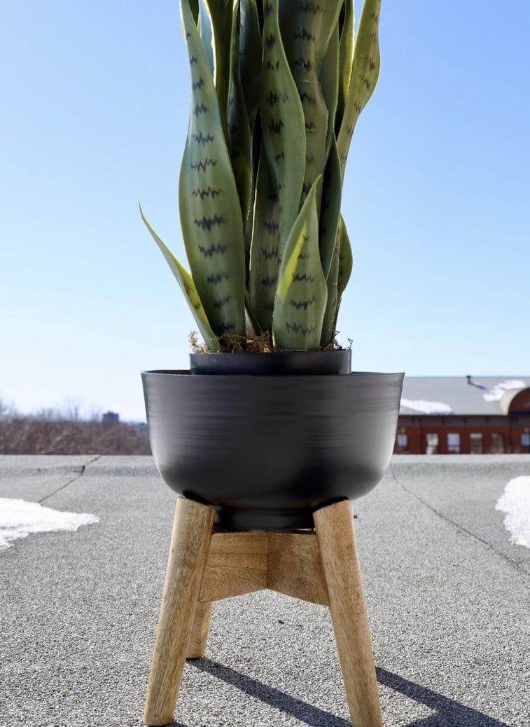 Coyo - Brass Turned Wood Leg Planter Black (Multiple Sizes)