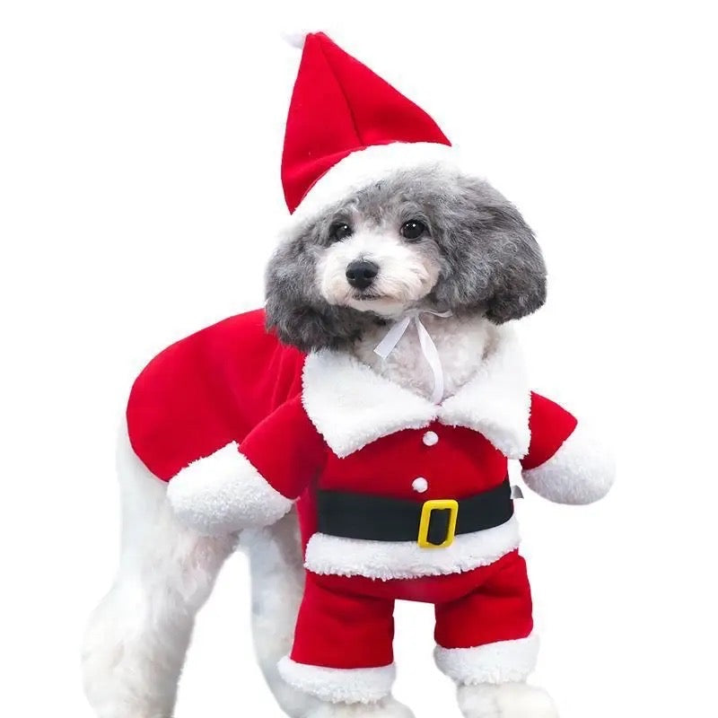 Santa Claws Is Coming Dog Outfit | Christmas Holiday Dog Outfit