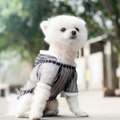 Jackson Dog T-Shirt | Sheer Stripe Dog Shirt