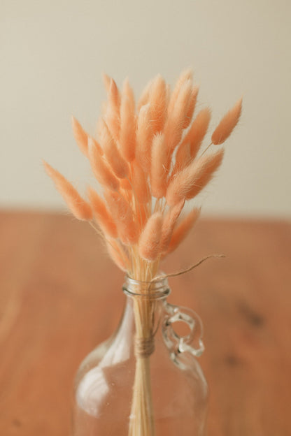 Bunny Tails