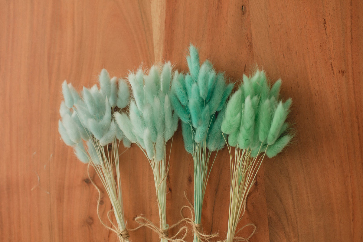 Bunny Tails