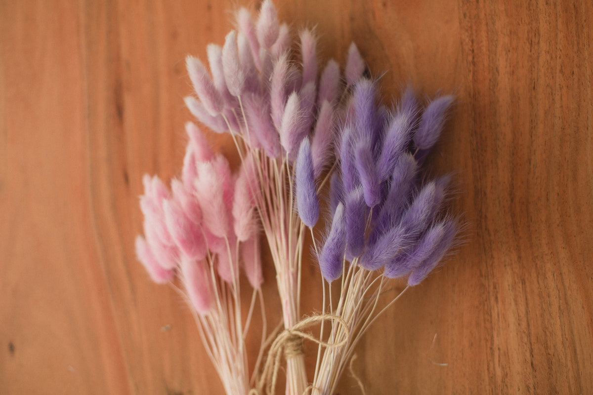 Bunny Tails