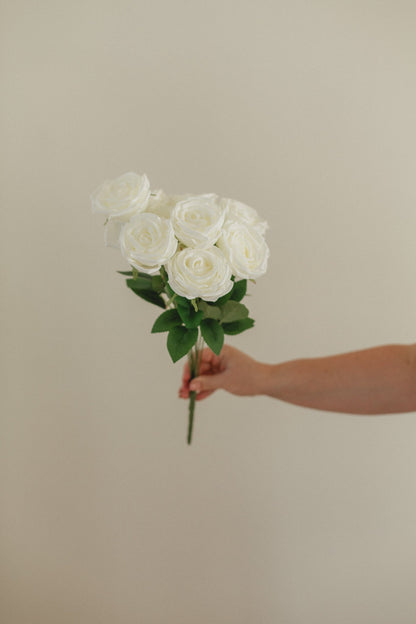 New Rose Bundle