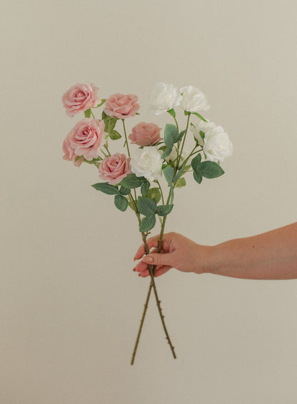 Petite tige de rose
