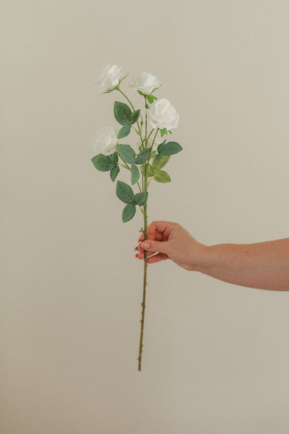 Petite tige de rose