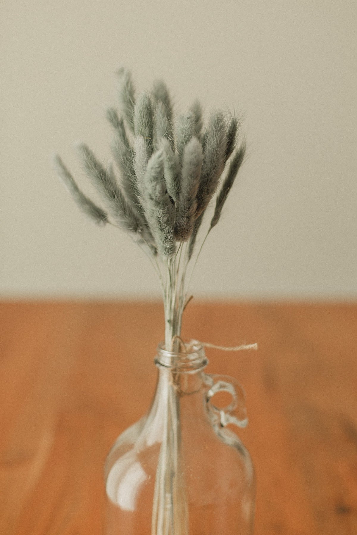 Bunny Tails