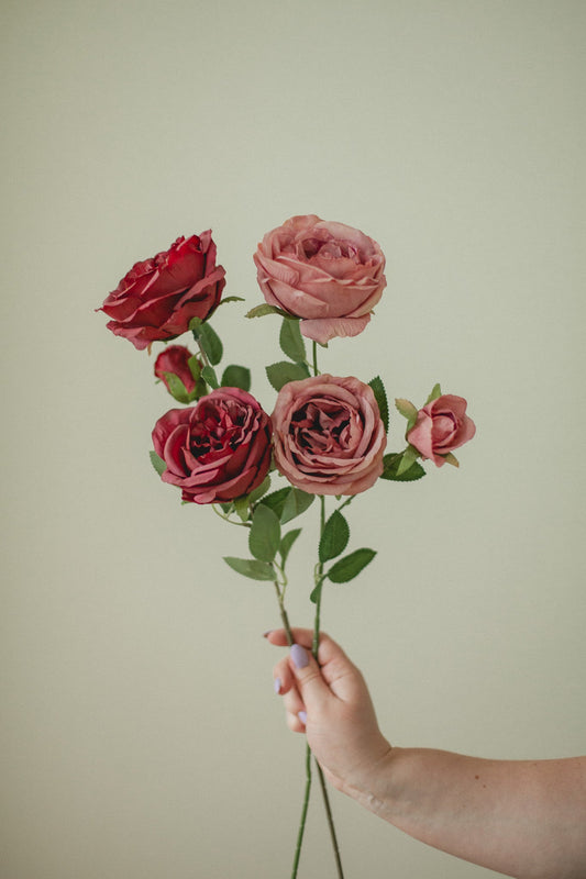 Grande tige de rose